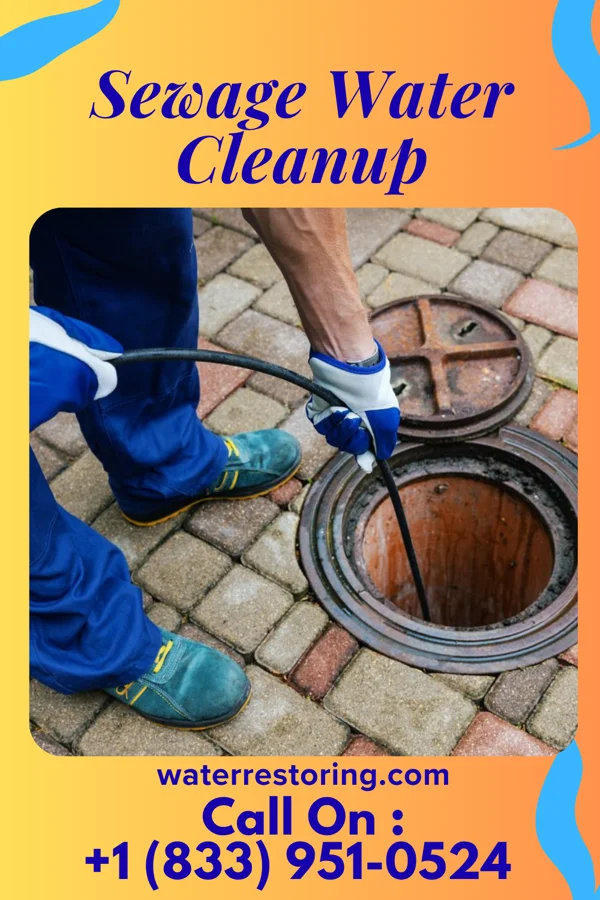 Sewage Water Cleanup in Plainview, AR